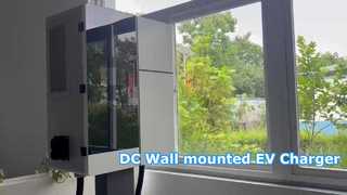 Carregador rápido DC de 20-60kW Estação de carregamento EV de pistola única/dupla OCPP 1.6J